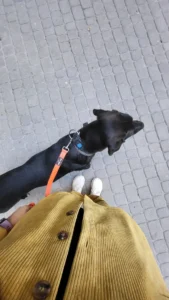 MIilitsa Chervenkova with her dog Kai